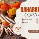 Baharatlar